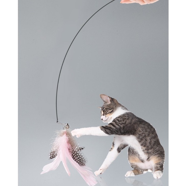ไม้ล่อแมว-ของเล่นแมว-ติดพื้นไม้ตกแมว-ของเล่นล่อแมว-cat-toy-ของเล่นก้านยาว-ขนนก-แบบปุ่มดูดสุญญากาศ-ถอดออกได้-สําหรับแมว