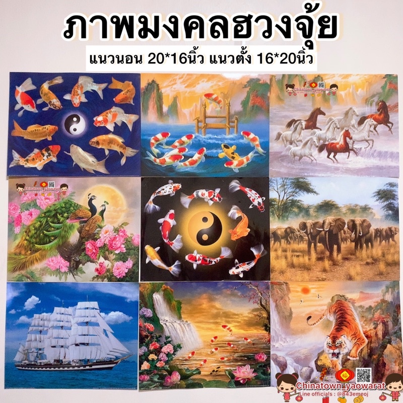 รวมภาพฮวงจุ้ย-ม้า8ตัว-เรือสำเภา-ปลาคราฟ-ภูเขา-หยินหยาง-ภาพโปสเตอร์-ภาพมงคล-ฮวงจุ้ย-ม้าสีหมอก-ภาพมงคล-เทพเจ้าจีน