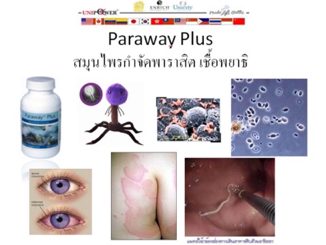 paraway-plus-พาราเวย์พลัส-unicity