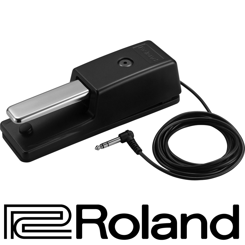 ROLAND® Footswitch รุ่น DP-10 (Sustain Pedal, ฟุตสวิทช์, ฟุตสวิตช์ ...