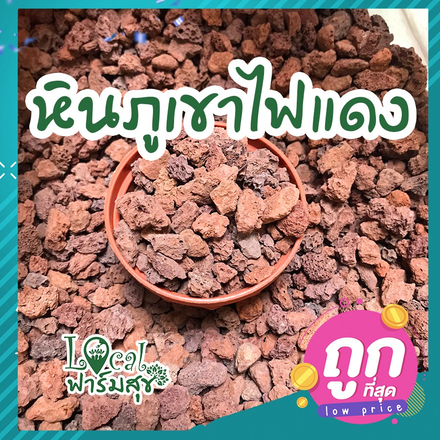 หินภูเขาไฟแดง-500-กรัม-หินภูเขาไฟสีแดงล่อราก-red-volcanic-rock-ลดอาการรากเน่า-ช่วยป้องกันเชื้อโรคเชื้อรา