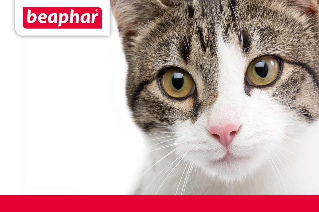 เกี่ยวกับ Beaphar TOP10 วิตามินเกลือแร่ชนิดเม็ด สำหรับแมว 180 เม็ด