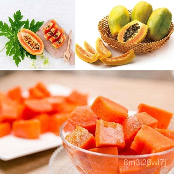 ถูก-ใหม่-สายพันธุ์20-เมล็ด-ซอง-เมล็ดมะละกอ-พันธุ์เลดเลดี้-papaya-seeds-ต้นไม้-เมล็ดพันธุ์-plants-พันธุ์ไม้ผล-อุปกรณ-gv