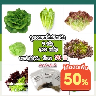 ภาพหน้าปกสินค้า🌱เมล็ดผักสลัด 7 ชนิด กรีนโอ๊ค เรดโอ๊ค กรีนคอส บัตเตอร์เฮด ผักกาดแก้ว  เรดแรพปิด 700 เมล็ด 79 บาท 📌งอกดีมีคู่มือการปลูก ที่เกี่ยวข้อง