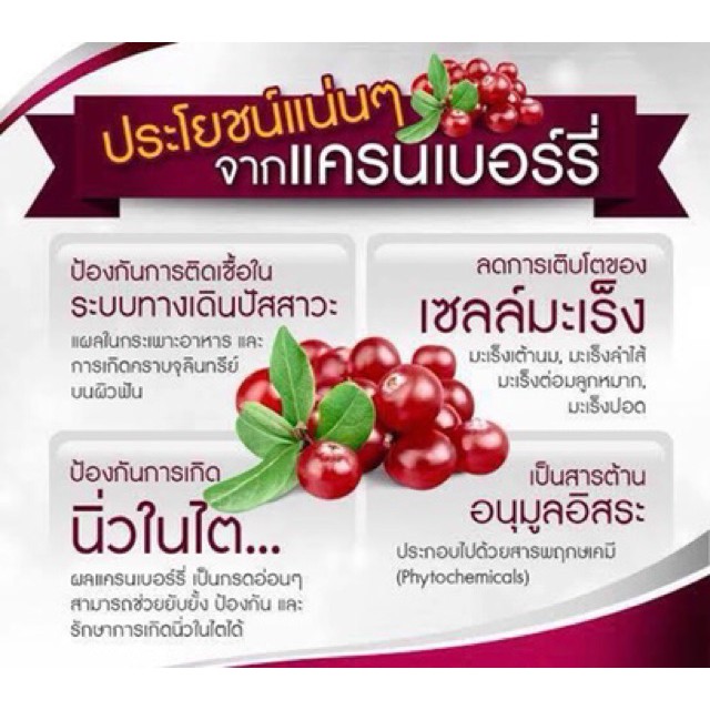 แครนเบอร์รี่อบแห้ง-แครนเบอร์รี่-ขนาด-1000-กรัม-ตราเอโร่-cranberry-1-kg-สินค้าพร้อมส่ง-มีบริการเก็บเงินปลายทาง