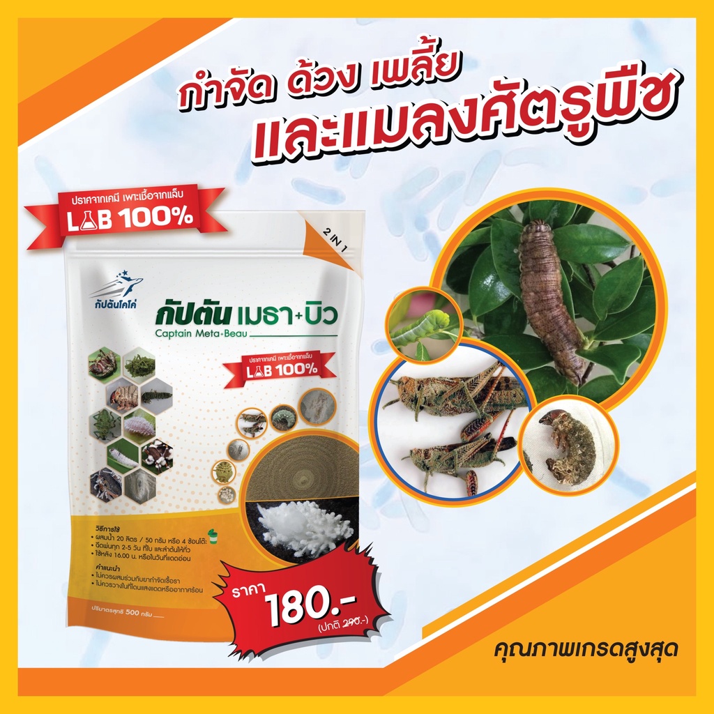 เชื้อราบิวเวอร์เรีย-เชื้อราเมธาไรเซียม-แบบผง-500กรัม-เพาะเชื้อจากห้อง-lab-พร้อมใช้-ปลอดภัย-100