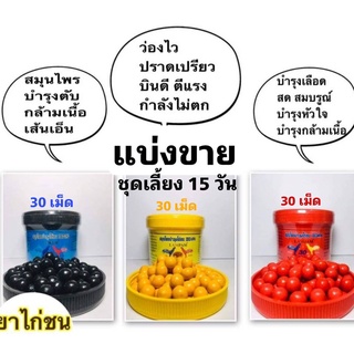 ภาพหน้าปกสินค้าชุดเลี้ยง 15 วัน IBD ลำปำ ชุดนี้ชัวร์  อย่างละ 30 เม็ด สำหรับไก่ชน ที่เกี่ยวข้อง