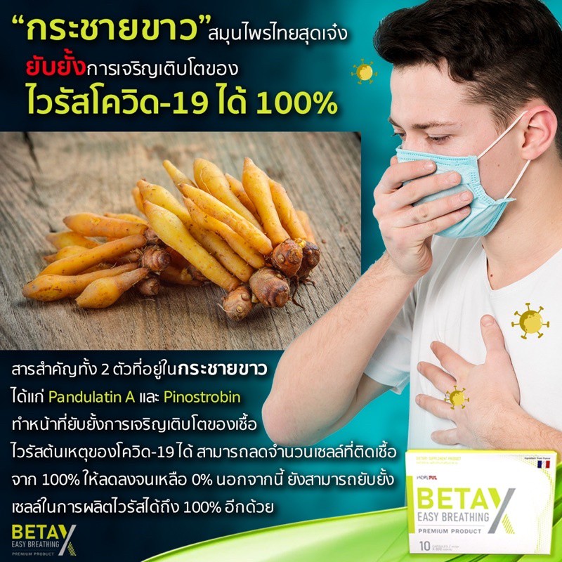 ภาพสินค้าส่งฟรี  ได้เร็ว บริการดี รับประกันสินค้า BetaX (เบต้าเอ็กซ์) Beta X สร้างปอดใหม่เต็ม100% ภูมิแพ้ไอเรื้อรัง สูบุหรี่จัด จากร้าน healthycare_th บน Shopee ภาพที่ 5