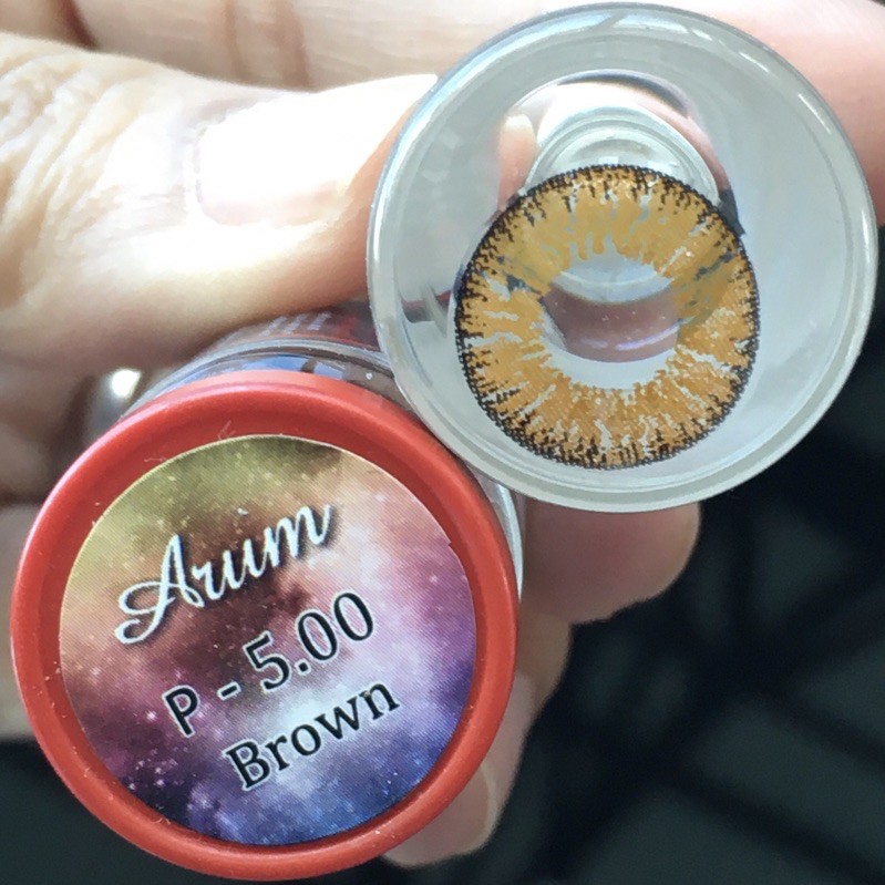 arum-brown-harajuku-brown-คอนแทคเลนส์-บิ๊กอาย-สีน้ำตาล-pitchy-ฝาแดง-contact-lens-bigeyes-สายตาปกติ-ลายดังใน-tiktok