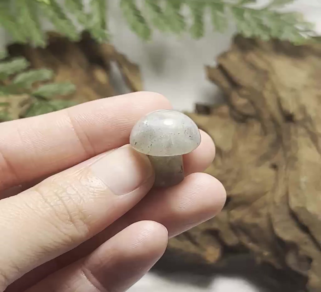 labradorite-ลาบราโดไรต์-1-mushroom-หินพ่อมด-ad-gemstone
