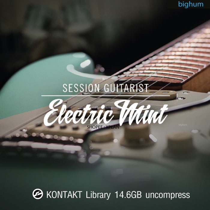 ภาพหน้าปกสินค้าKontakt Session Guitarist - Electric Mint VST Sound Library  win/Mac