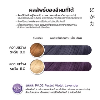 ภาพขนาดย่อของภาพหน้าปกสินค้าพร้อมส่ง NIGAO Hair Color PV.02 สีไวโอเลต ลาเวนเดอร์ นิกาโอะ สีพาสเทล ครีมเปลี่ยนสีผม สีย้อมผม ย้อมผม ไม่มีแอมโมเนีย จากร้าน hairlab34 บน Shopee