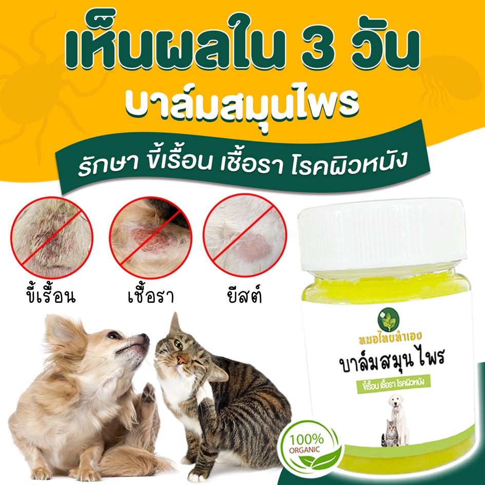 ภาพสินค้าหมอไทยทำเอง บาล์มบรรเทาโรคผิวหนัง ขี้เรื้อนสุนัข เชื้อราแมว ยีสต์ คันเกา แผล 20-50 กรัม สมุนไพร จากร้าน mestock2022 บน Shopee ภาพที่ 1