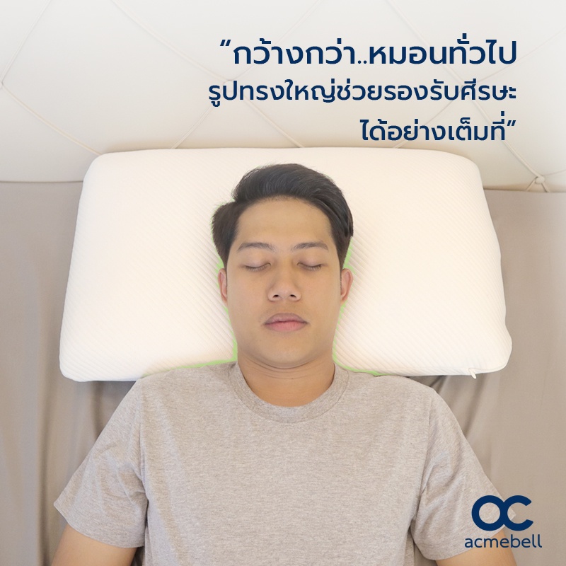 acmebell-recharge-plus-pillow-หมอนหนุนขนาดใหญ่-หมอนหนุนใบใหญ่