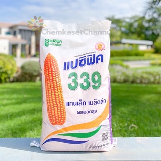 เมล็ดพันธุ์ข้าวโพดแปซิฟิค 339 ขนาดบรรจุ 10 กิโลกรัม 3.5 หุน แกนเล็ก เมล็ดลึก ผลผลิตสูง