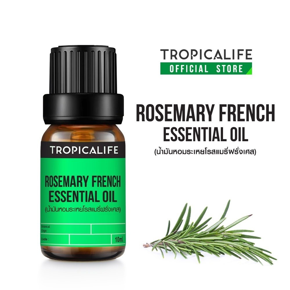 ROSEMARY FRENCH ESSENTIAL OIL 10 ml Shopee Thailand