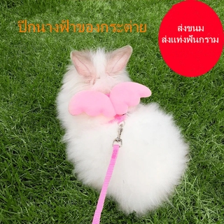 สินค้า เชือกจูงกระต่ายสําหรับสัตว์เลี้ยง