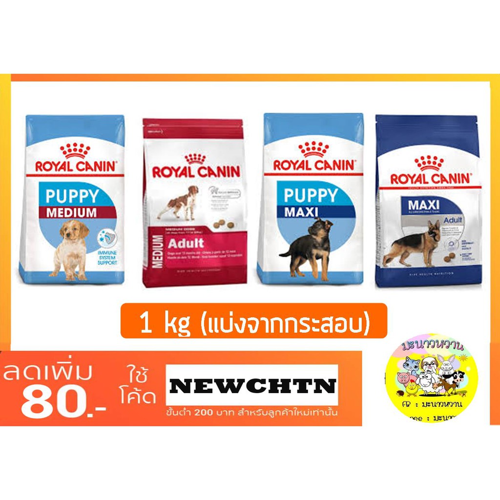 royal-canin-medium-maxi-แบ่งขาย-1kg-สำหรับสุนัขพันธุ์กลางและพันธุ์ใหญ่