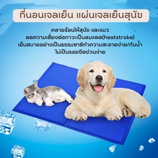 # P053 ที่นอนเจลเย็น แผ่นเจลเย็นสุนัข Pet cool mat