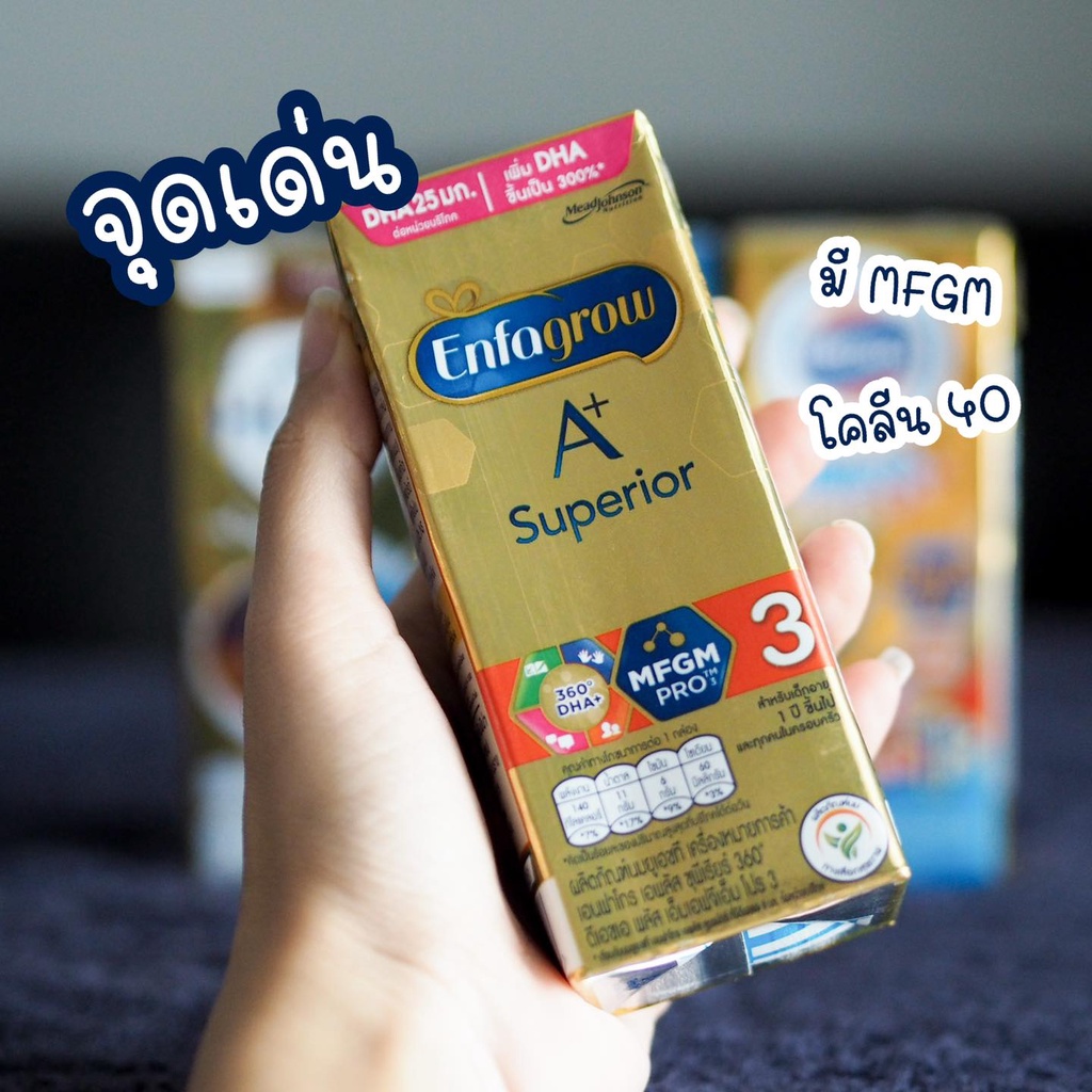 ภาพหน้าปกสินค้านม Enfagrow A+ Superior สูตร 3 ยกลัง​ 1​ ลังบรรจุ​ 24​ กล่อง (หมดอายุ 11/09/2023) จากร้าน milk_club บน Shopee