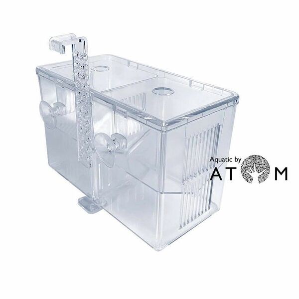 พร้อมส่ง-กล่องแยกปลา-ใช้แยกปลา-กุ้ง-ลูกปลา-ปลาป่วยในตู้ปลา-hatching-isolation-box