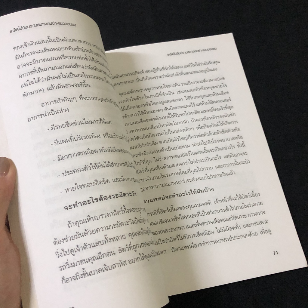 หนังสือ-เคล็ดไม่ลับ-ปราบหมาจอมซ่า-แมวจอมซน-นันทิชา-พุกาธร-มือสอง-สภาพดี-ราคาถูก