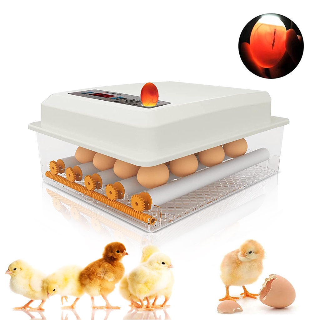 all-about-pet-ตู้ฟักไข่ไก่-ตู้ฟักไข่-เครื่องฟักไข่-ตู้ฟักไข่อัตโนมัติ-เครื่องฟักไข่อัตโนมัติ-อุปกรณ์ตู้ฟักไข่