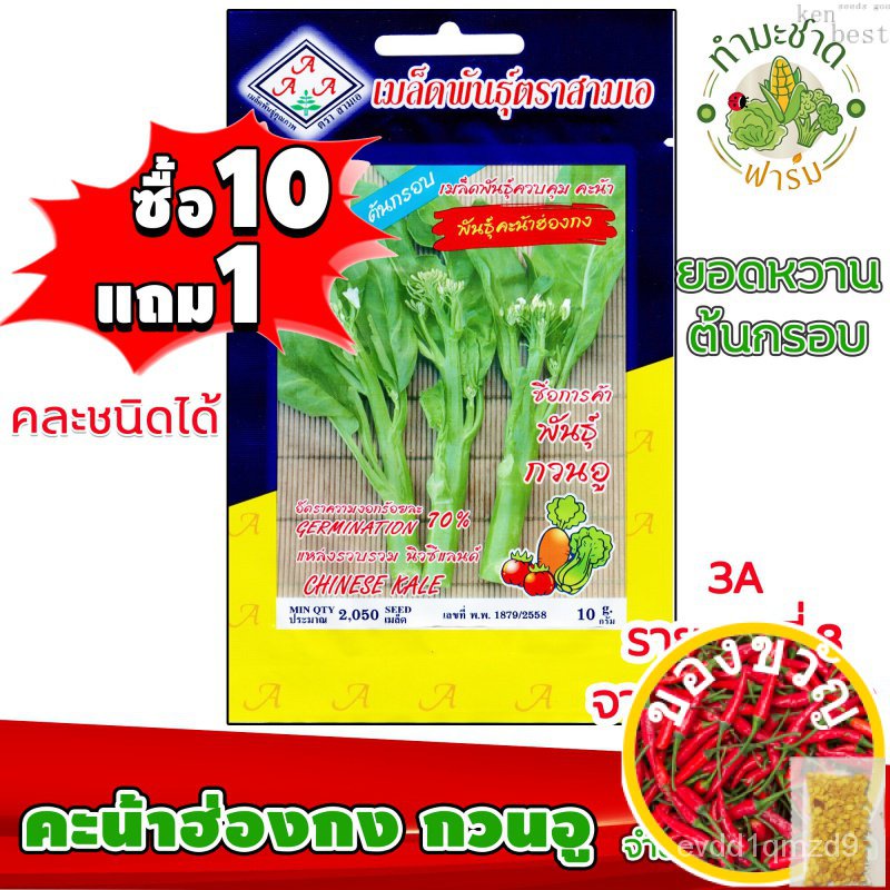 เมล็ดอวบอ้วน100-10แถม1-3a-เมล็ดพันธุ์-คะน้าฮ่องกง-กวนอู-2-050-เมล็ด-ยอดหวาน-ต้นกรอบ-เมล็ดพันธุ์สามเอ-chinese-kale-เมล็