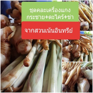 ชุดคละเครื่องแกงกระชาย500กรัม+ตะไคร้500กรัม+ข่า500กรัมเก็บสดใหม่แพ็คส่งตรงจากสวนอินทรีย์