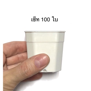 กระถาง 8เหลี่ยม สีขาว ขนาด 2 นิ้ว กระถางกระบองเพชร เซ็ท 100 ใบ