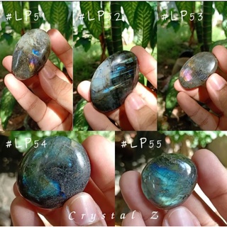 Labradorite #palm 🔮🧙 #LP51-#LP55 ลาบราโดไรต์ "หินพ่อมด" เล่นแสง