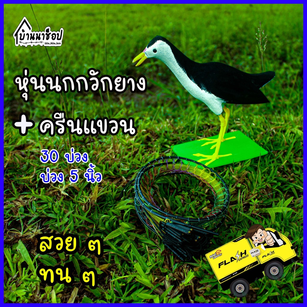 ชุดต่อนกกวัก-หุ่นนกกวักยาง-ครืนแขวน-30-บ่วง-ดักนกกวัก-ดักนกไก่นา