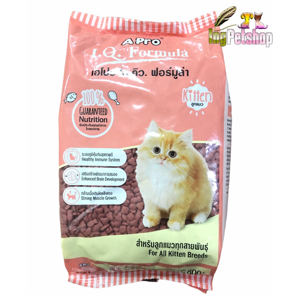 ถุงชมพู)อาหารลูกแมวนะจ๊ะ จะบอกให้ อาหารลูกแมว Kitten ขนาด 1 กิโลกรัม เอโปร  ไอ.คิว.ฟอร์มูล่า | Shopee Thailand