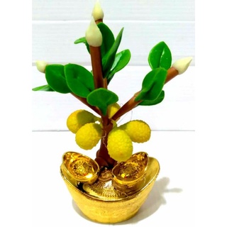 ก้อนทองต้นขนุนเป็นสัญลักษณ์ของความอุดมสมบูรณ์ไปด้วยโชคลาภเงินทองชว่ยหนุนนำโชคลาภเงินทอง