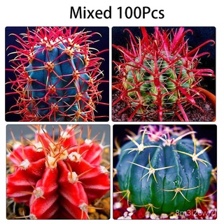 （เมล็ดพันธุ์ ถูก คละ）เมล็ดกระบองเพชร cactus seeds 100ชิ้น / แพ็ค ต้นไม้มงคล ต้นไม้ฟอกอากาศ ต้นไม้ประดับ เมล็ดบอนสี พันธุ