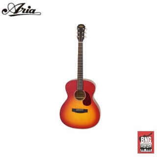 ARIA-101 MTCS กีตาร์โปร่ง แอเรีย Acoustic Guitars