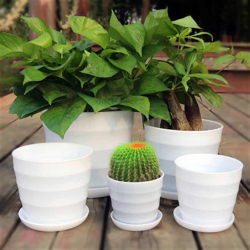 amei-กระถางต้นไม้-กระถางดอกไม้พลาสติก-สีสันสดใส-พร้อมถาดรองกระถาง-รุ่น-5283
