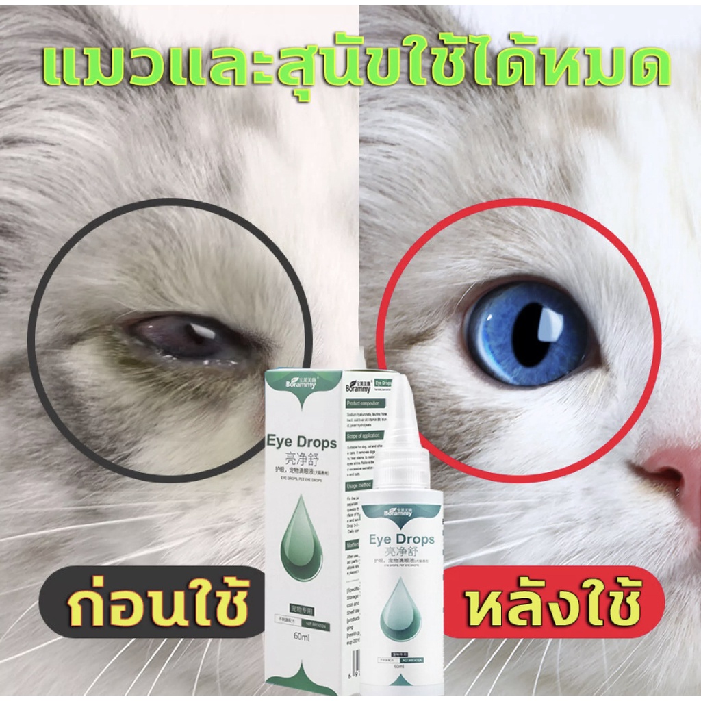 ภาพสินค้าBorammy ยาหยอดตาสุนัข ยาหยอดตาแมว เช็ดคราบน้ำตา ยาหยอดตาหมา น้ำยาเช็ดคราบน้ำตา ทิชชู่เปียกแมว แผ่นเช็ดตาแมวpet eyes 60ML จากร้าน 7gspuiwxdd บน Shopee ภาพที่ 8