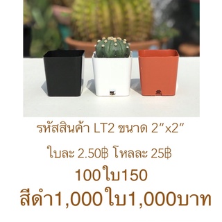 LT2 กระถางต้นไม้แคคตัส มี 3 สีให้เลือก ขนาด 2 x 2 นิ้ว 1000 ใบ