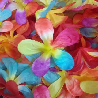 กลีบดอกลีลาวดี สีสวยสดใส
