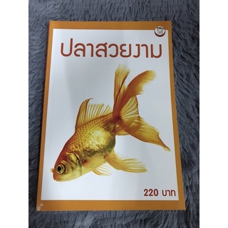 หนังสือ    ปลาสวยงาม