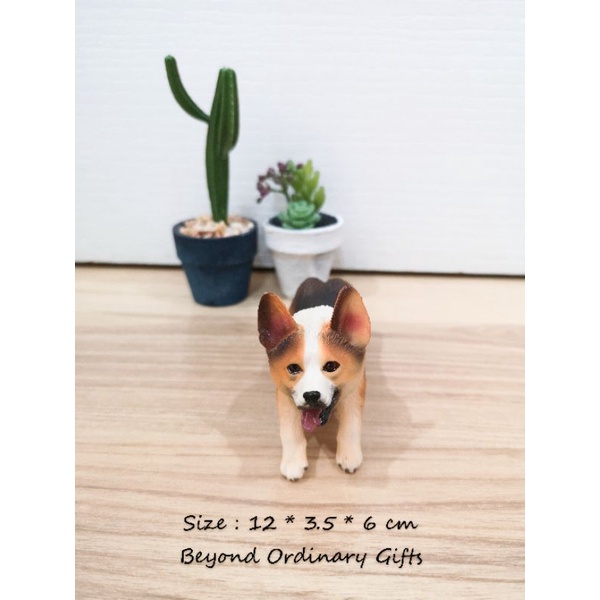 โมเดลคอร์-กี้-สามสีนอนยืดตัว-พร้อมส่ง-welsh-corgi-model