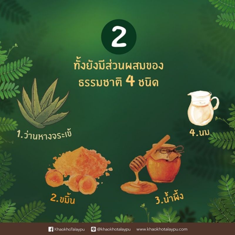 175-g-สครับมะขาม-เขาค้าทะเลภู-สครับผิวกาย-khao-kho-talay-pu