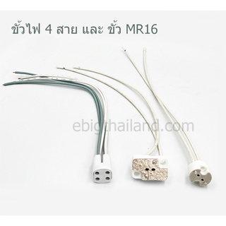 ขั้วไฟ 4 สาย หลอดนีออนกลม และขั้วหลอดฮาโลเจนหรือ MR16 แบบกลมและเหลี่ยม