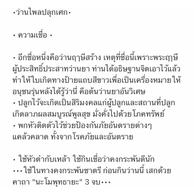 ว่านไพลปลุกเศก-ขายเป็นหัวสด