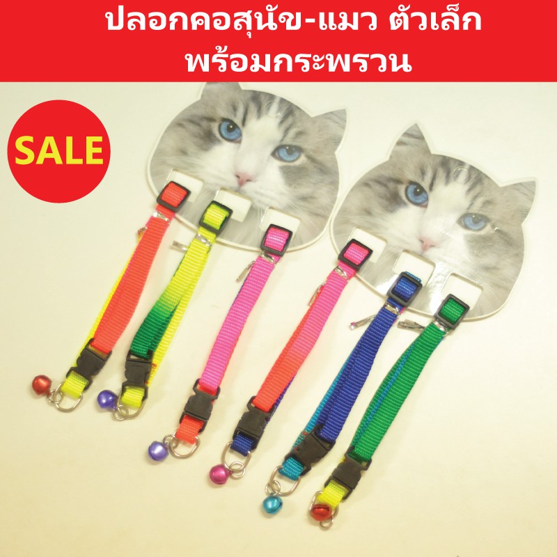 sale-ปลอกคอสุนัข-แมว-สีเจ็บ-มีกระพรวน-ขายคละสี-ซื้อ-3-ชิ้นลดอีก