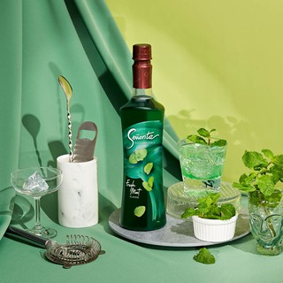 ภาพหน้าปกสินค้าSenorita Syrup Fresh Mint 750 ml. ที่เกี่ยวข้อง