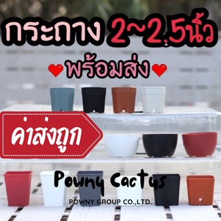 ภาพขนาดย่อของสินค้ารบกวนสั่งขั้นต่ำ 5 ใบ คละได้ทั้งร้านนะคะ กระถางพลาสติก 2 นิ้ว กระถาง กระถางแปดเหลี่ยม กระถางกระบองเพชร กระถางแคคตัส