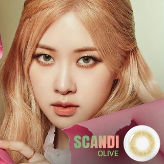 Scandi Olive By Gaezz Secret  คอนแทคเลนส์ (Contact lens) มีค่าสายตา 0.00 ถึง -10.00