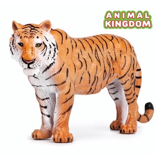 Animal Kingdom - โมเดลสัตว์ เสือโคร่ง ขนาด 23.50 CM (จากหาดใหญ่)